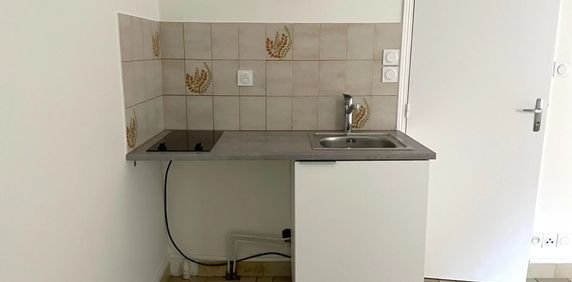 Location Appartement 1 pièce 19m² TOURS 37000 - Photo 2