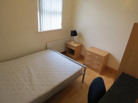 121 Wellesley Avenue - Flat 4, Belfast, BT9 6ND - Photo 2
