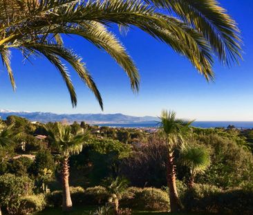 CALIFORNIE - PALMIERS, MER ET MONTAGNES ENNEIGÉES - Photo 2