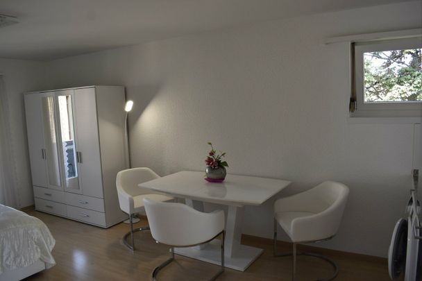 1,5-room furnished apartment in 8108 Dällikon, Zurich - incl NBK - Photo 1