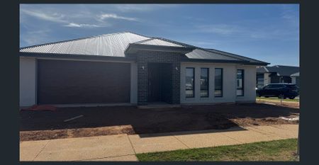 Brand New 4 Bedroom and 2 Bathroom House for Rent in Riverlea Park - Photo 4