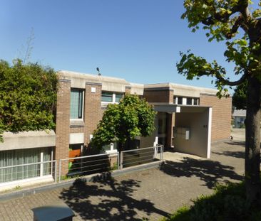 Renovierte 2.5 Zimmerwohnung im Grünen - Foto 5