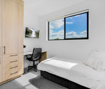 6 Highfield Street, Mayfield - Photo 6