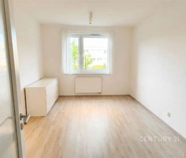 Světlý byt 1+kk s předzahrádkou a parkingem, Praha 9 Vysočany - Photo 5