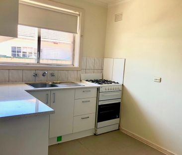 Freshly Updated Two Bedroom Unit - Photo 4