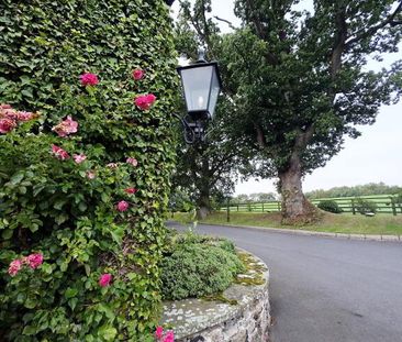 The Courtyard, 62a Drumnabreeze Road, Cottage 1, Magheralin, BT67 0RH - Photo 5