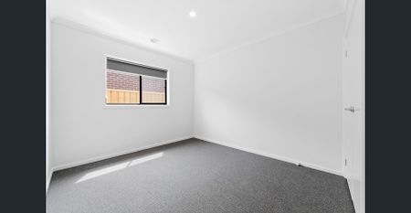 Brand New Modern House is Sure to Impress - 2 Living Areas, with 1 Weeks Free Rent - Photo 4