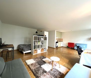 Rent a 1 ½ rooms apartment in Luzern - Photo 2