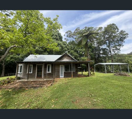 274B Coopers Creek Road, Repentance Creek, NSW 2480 - Photo 5