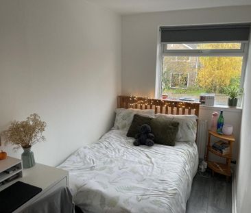 4 bedroom house share to rent - Photo 5