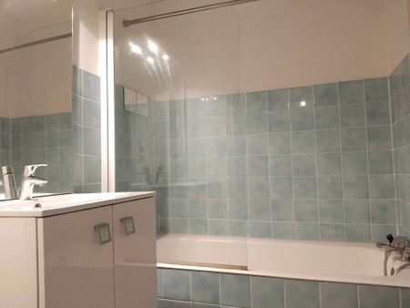 Location Appartement 2 pièces 47m² GRENOBLE 38100 - Photo 3