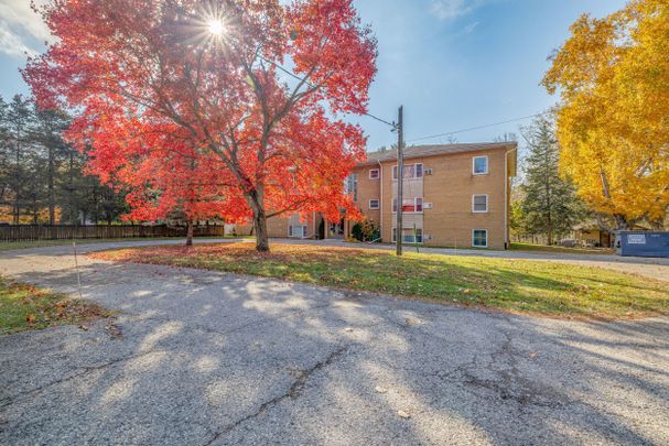 For Lease - 75 Hale Street Unit# 5, Tillsonburg, Ontario - Photo 1