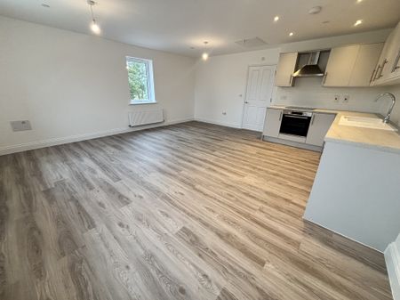 Tithe Way, Thetford - Photo 2