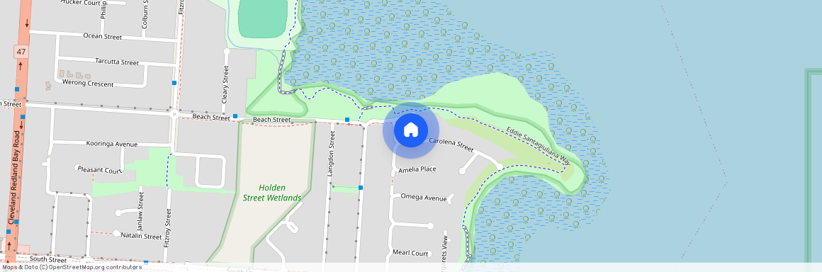 4 Carolena Street, Qld 4163, Cleveland