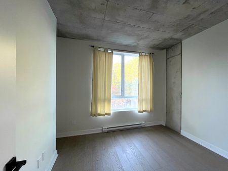 5605 Av. Pierre De Coubertin Montréal (Mercier, QC H1N - Photo 3