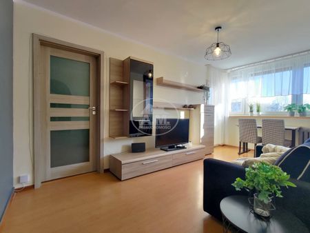 MIESZKANIE PRZYJAZNE KOTOM, 2 POKOJE, BALKON - Zdjęcie 2