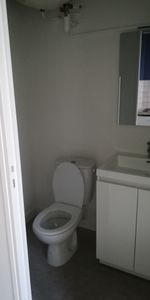 Location Appartement 1 pièce 19m² ANGERS 49100 - Photo 3