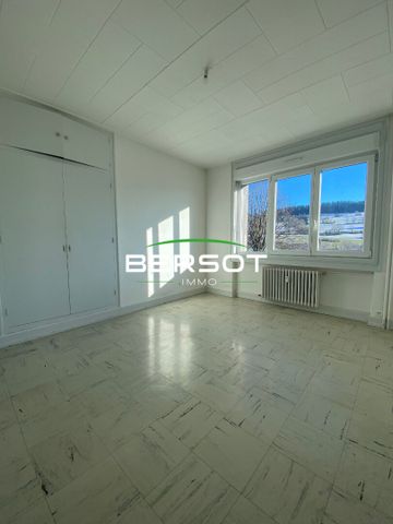 Appartement avec terrasse à GRAND COMBE CHATELEU proche suisse - Photo 5