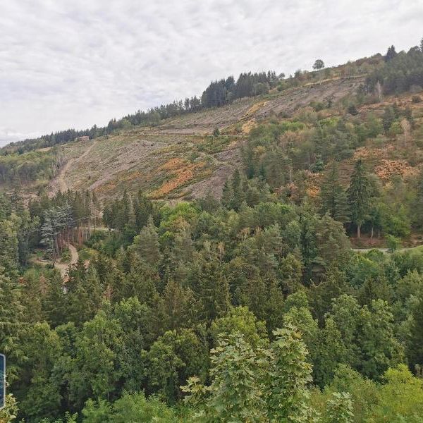 Location Appartement 1 pièce 34m² ST ETIENNE 42100 - Photo 1