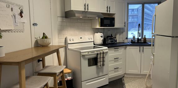 Grand 3 1/2 1er MARS - Photo 2