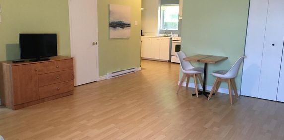 Grand studio tout équipé près du mont Ste-Anne - Photo 2