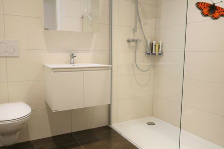 2.5 Zimmer, 65 m², 2. Stock - Foto 5