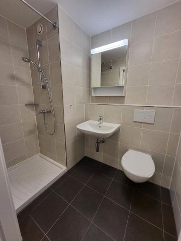 Appartement Fribourg - 1.5 pièces - Photo 2