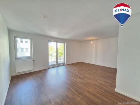 Frisch renovierte 2-Raum-Wohnung am Werder ! - Foto 5