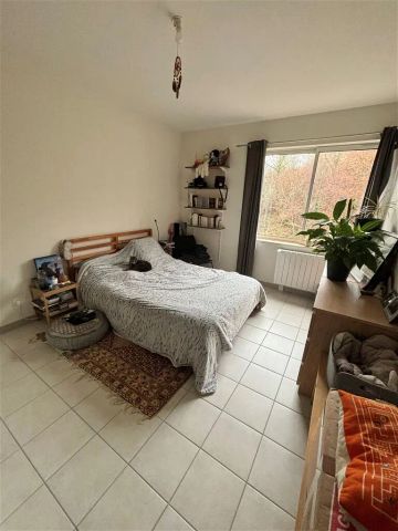 Location appartement 3 pièces - 82m² à Aixe sur vienne (87700) - Photo 3