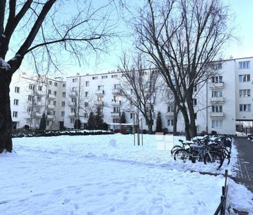 przytulne obok pl Wilsona - Zdjęcie 6