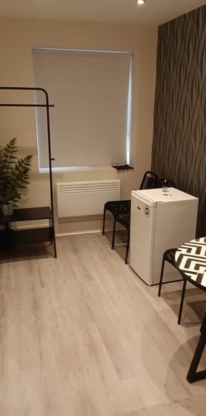 Studio Flat, Thicket Road, SE20 - Photo 1