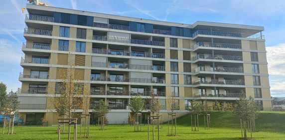 Logement spacieux et lumineux à Bussigny - Photo 2