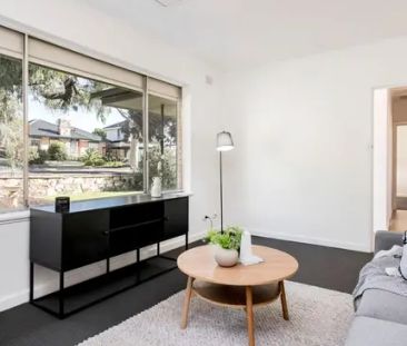 33 Gunther Parade - Photo 5