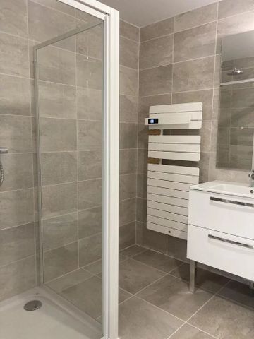 Location Appartement 2 pièces 45m² FONTENAY TRESIGNY 77610 - Photo 2