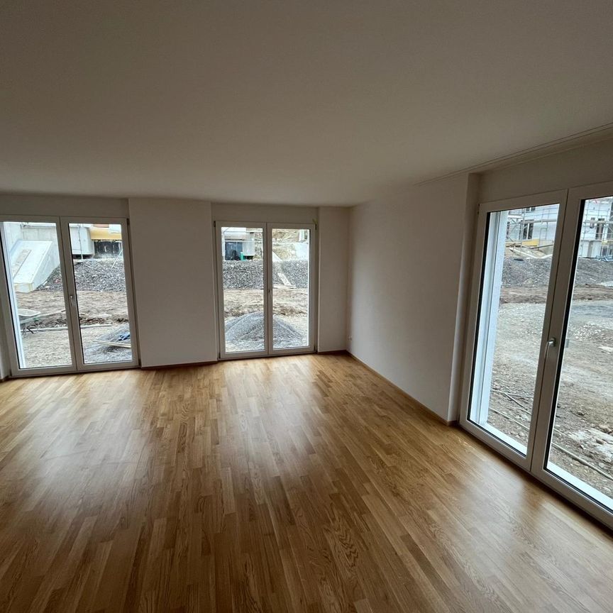 Einfamilienhaus in Reinach - Photo 1