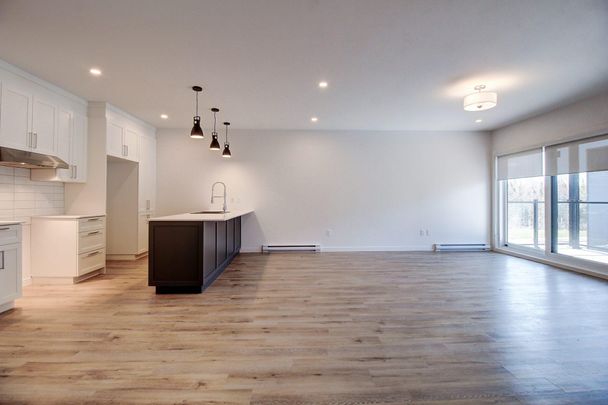 5529, boul. René-Lévesque #303, Sherbrooke (Rock Forest | St-Élie) - Photo 1