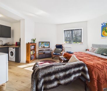 0 bedroom Studio flat to rent - Photo 3