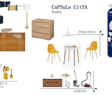 Location Appartement 1 pièce 32m² ST ETIENNE 42000 - Photo 4