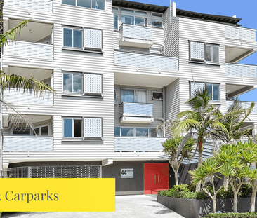 Modern apartment living in the heart of Kingsland! - Photo 4