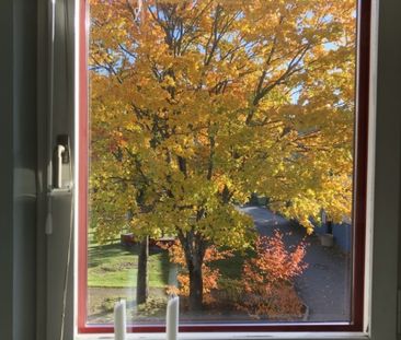 Saltsjö-boo - 1rok - 6mån - 11.500kr/mån - Foto 6