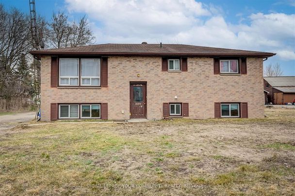 For Lease - 386 Essa Rd Lower Level Road, Barrie, Ontario - Photo 1