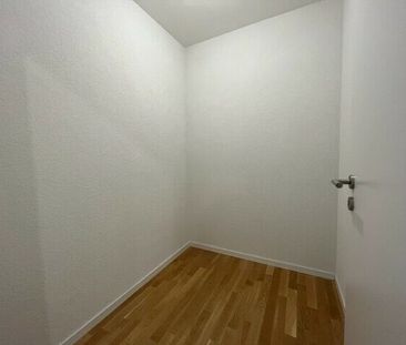 LE TICLE : Appartements neufs à louer - Photo 5