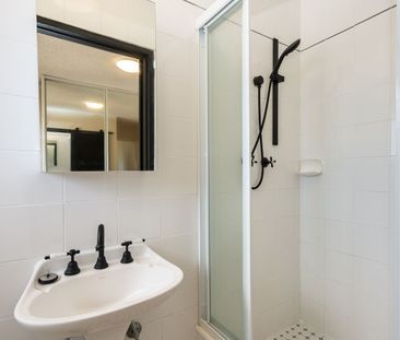 One Bedroom with Plenty of Natural Light - Photo 2