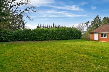 A four bedroom detached bungalow to rent close to Wash Common in Newbury. - Photo 3