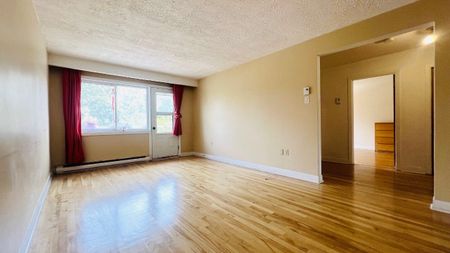 885 55e Avenue Montréal (Lachine), QC H8T - Photo 2