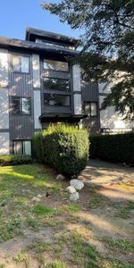 Pet-Friendly 1-Bed, 1-Bath Apartment in Marpole, Vancouver - Photo 3