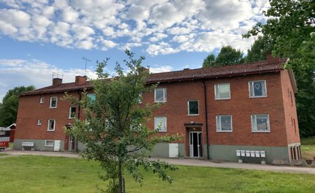 Avesta Näs Bruk: Etta i markplan - Foto 2