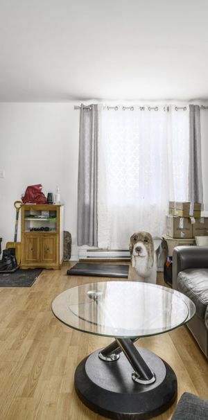 4 1/2 - Ramoneur - Photo 1