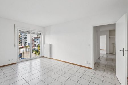 Nel cuore di Massagno - Foto 5