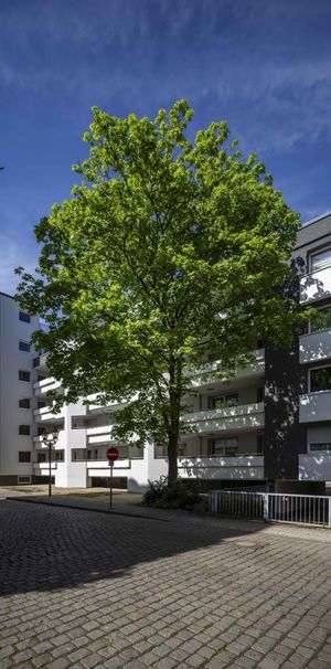 Moderne Seniorenwohnung in toller Lage von Ruhrort - Photo 2